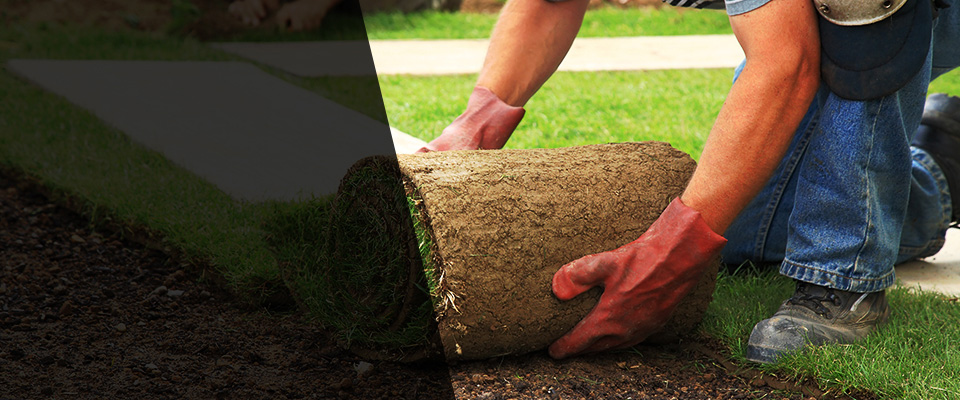 Bentonville Landscapers